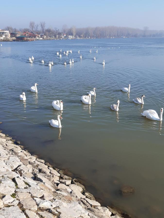 Tiski Mir Bečej Eksteriør bilde